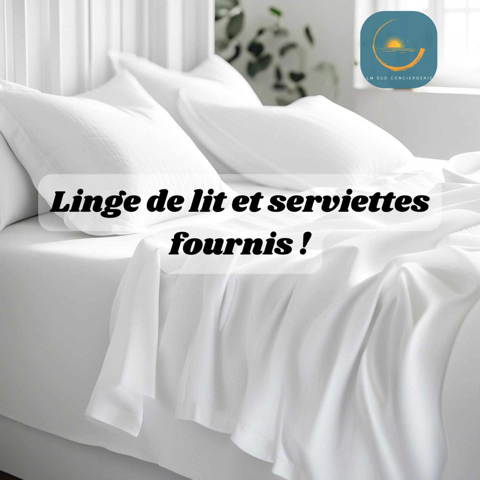 * F3 Haussmannien, Centre-Ville, 4 Pers, Wifi * Montpellier Exterior photo